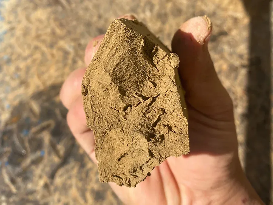 压滤机处理尾矿污泥